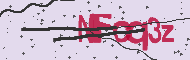Captcha認証コード
