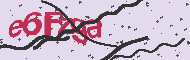 Captcha認証コード